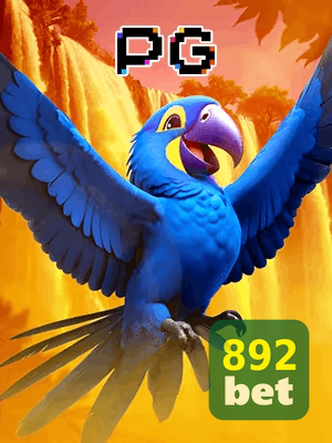 892BET bônus — cashback 15 por cento e níveis VIP